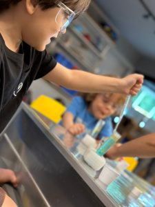 SOFT SKILLS: Habilidades Socioemocionais